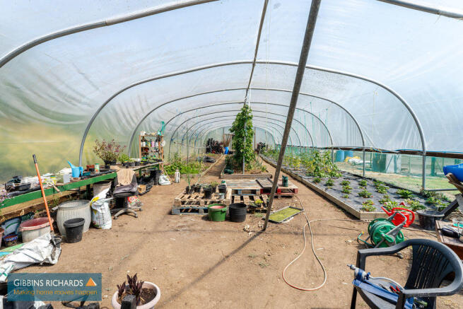 Polytunnel