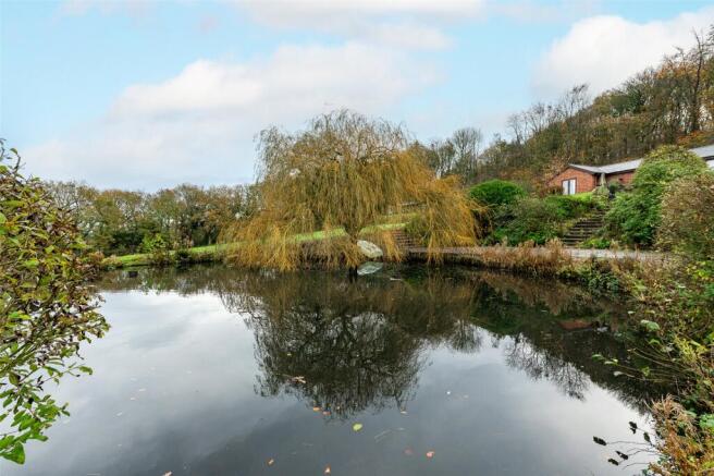 Pond