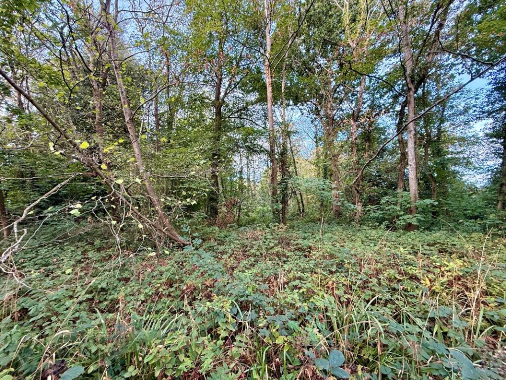 Land South of, Jesmond Avenue, Highcliffe, Christchurch, Dorset, BH23 5AY - View 5