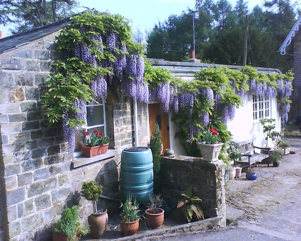 Main image of property: Warninglid Lane, Warninglid