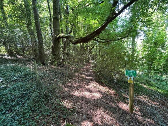 Woodland (1)_ECW
