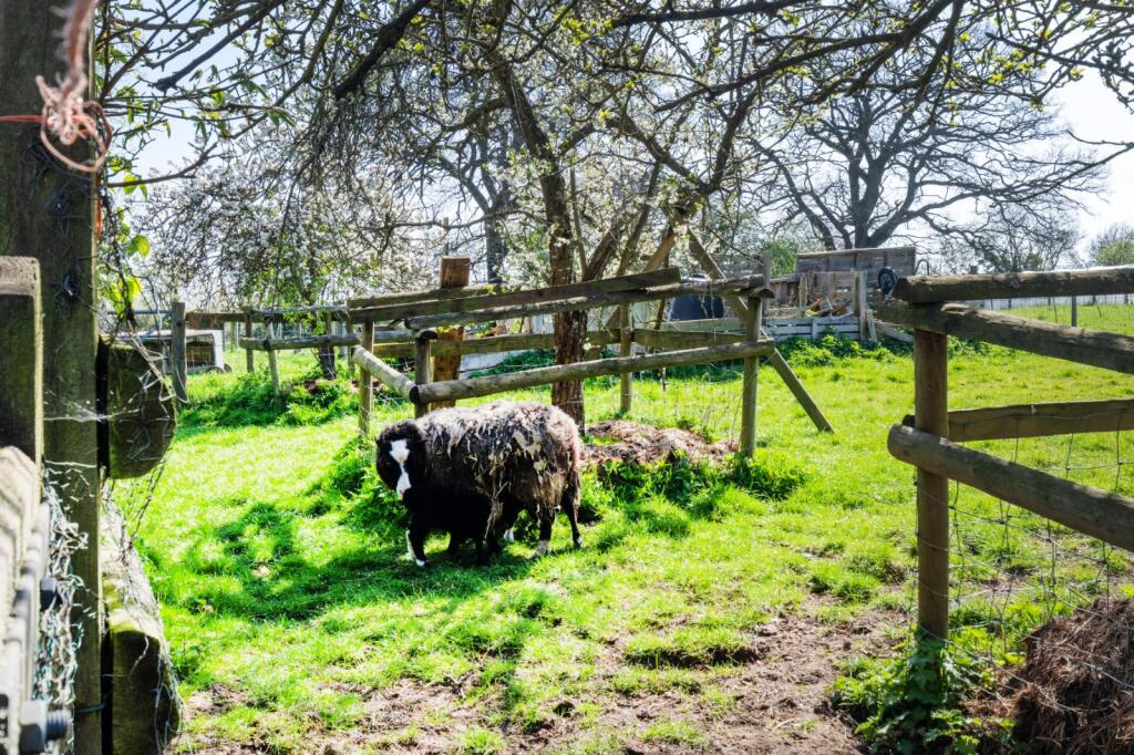 Additional image 20 of Salter Street, Earlswood, Solihull, West Midlands, B94