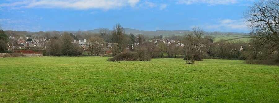 View south across the site