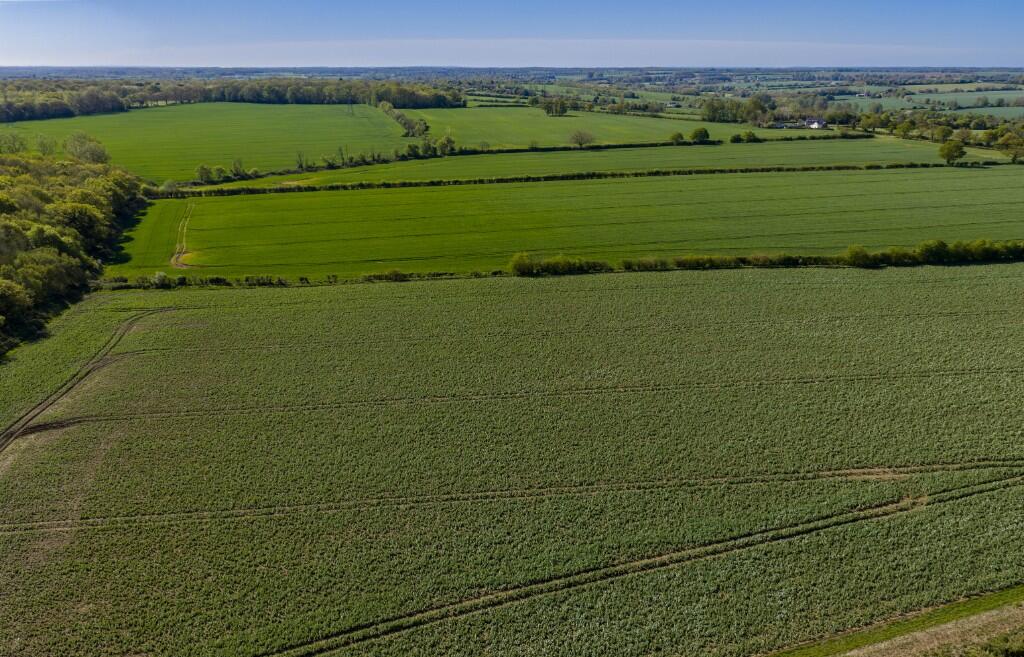 Whitehouse Farm, Little Sampford, CB10 2QN - View 4