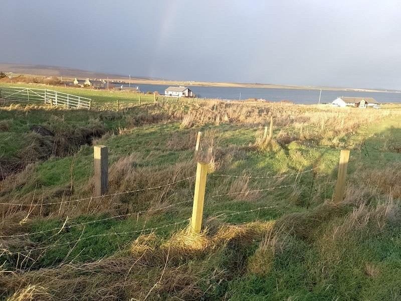 Land 1 near Watering House, Longhope, Orkney photo 3