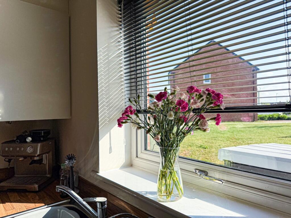 House in Taunton - More