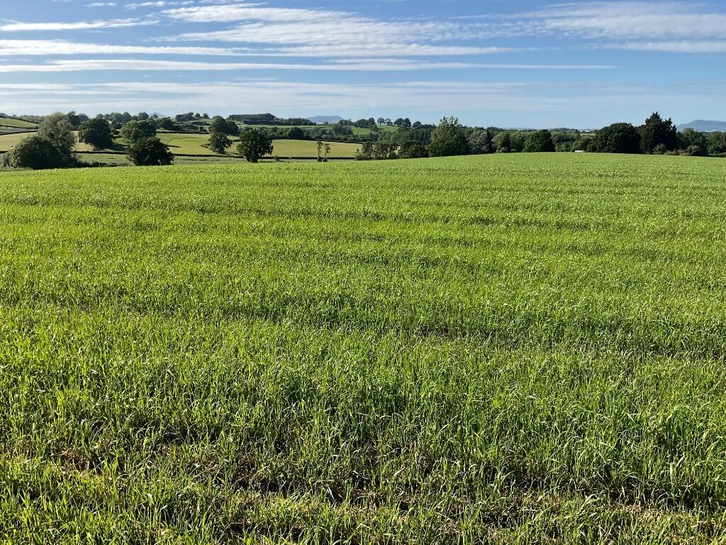 Main image of property: Lot 2: Land Formerly Part of Berllanderi, Raglan, Usk