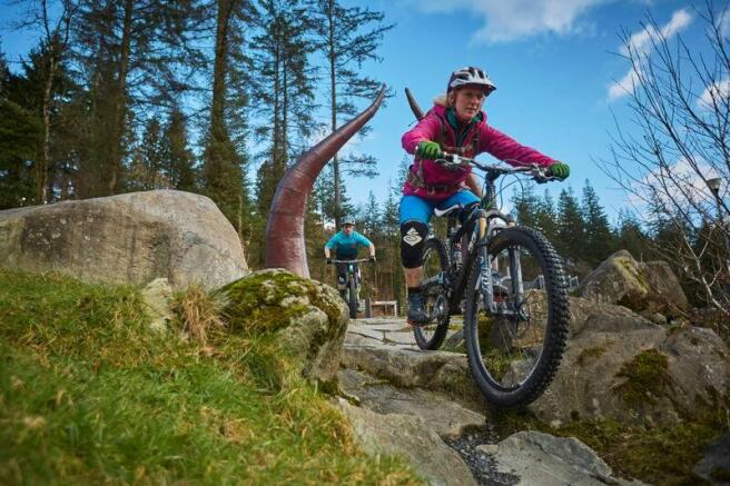 13587_coed y brenin_ tarw du_natural resources wales_no restrictions_n_a.jpg