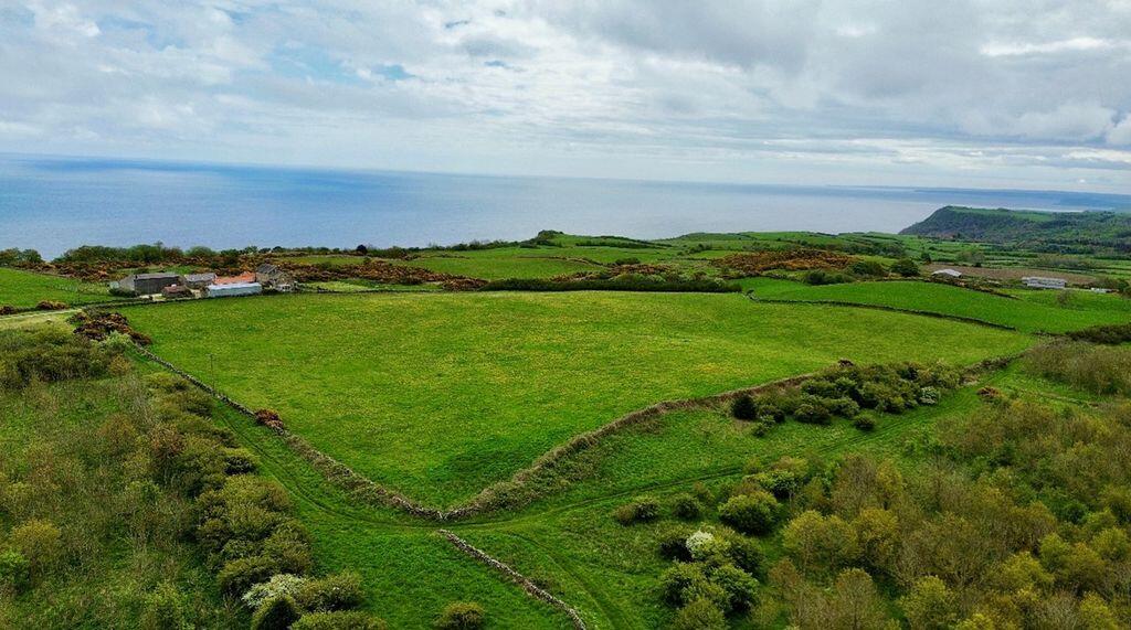 102 acres, Staintondale, Scarborough - More