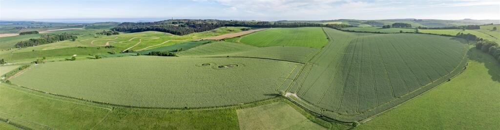 Coombe Road, Winterbourne Steepleton, Dorchester - View 5