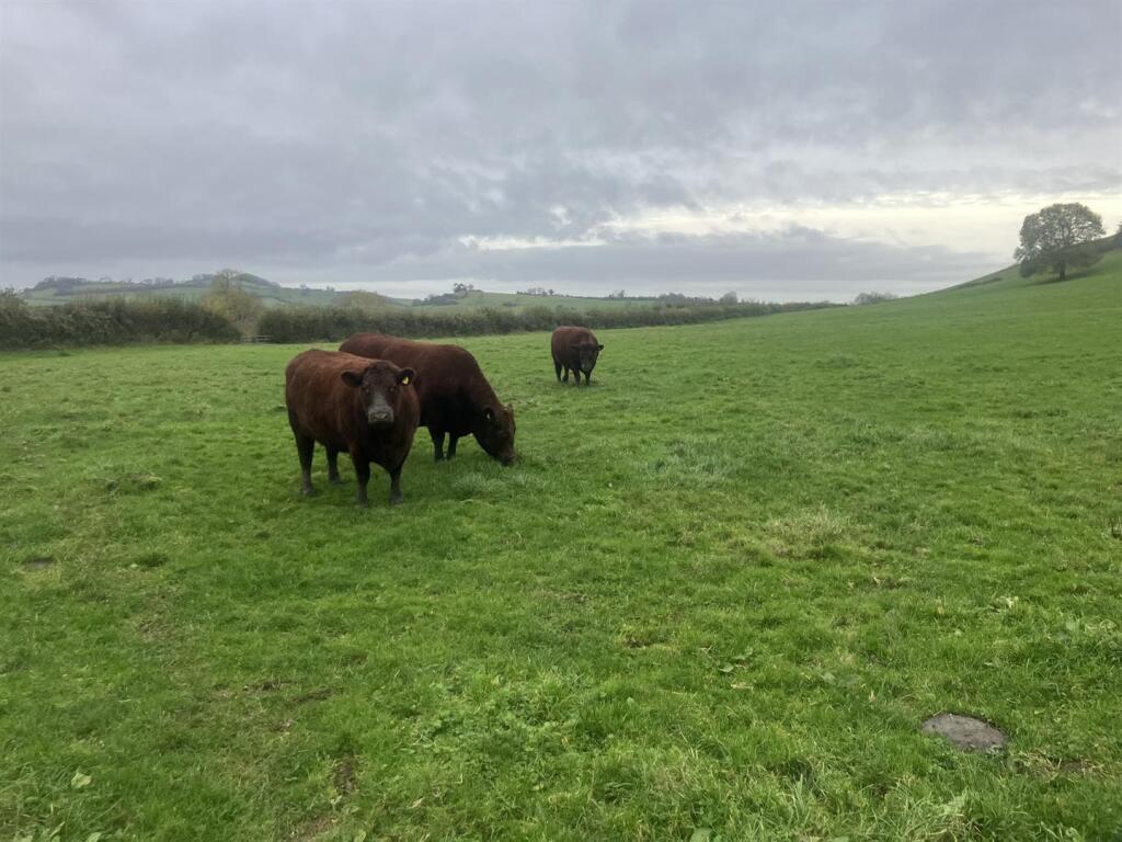 Additional image 24 of Hadspen, Castle Cary, Somerset