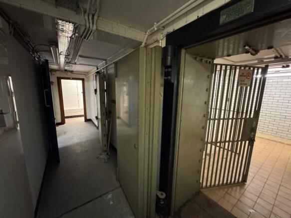 IMG_2465.jpeg