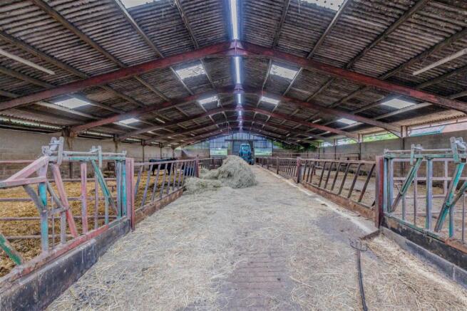 3. Cattle Building