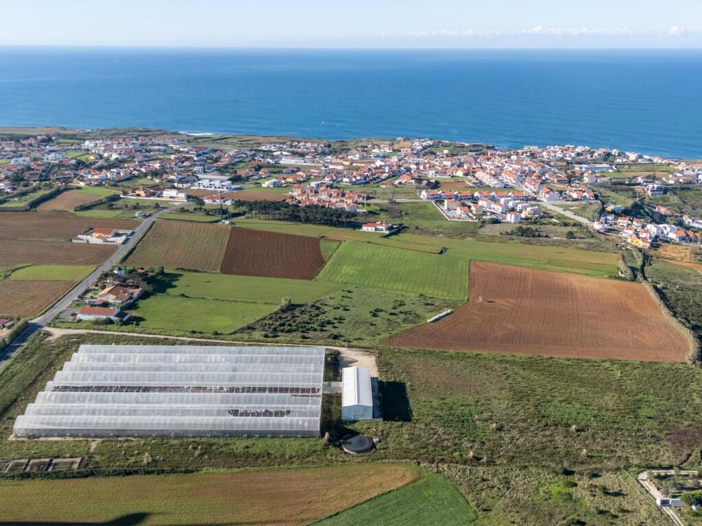 Main image of property: Lisbon, Ericeira