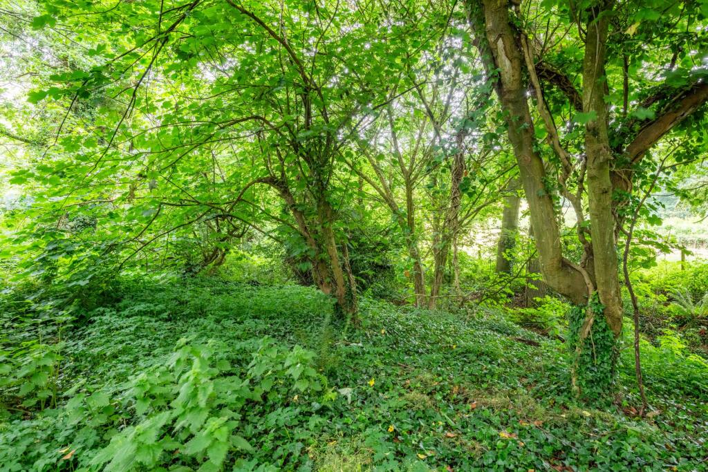 Coppice at Horwood - More