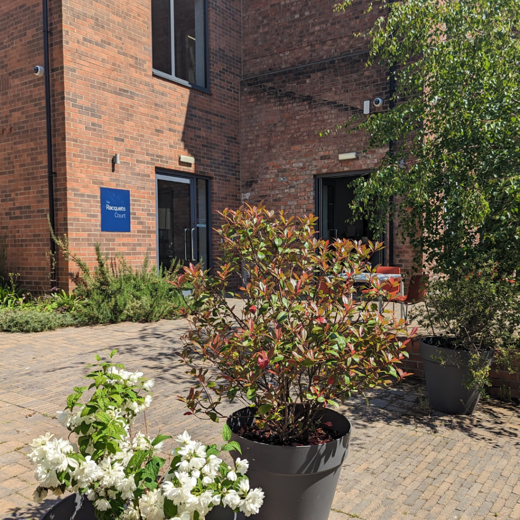 Main image of property: The Racquets Court