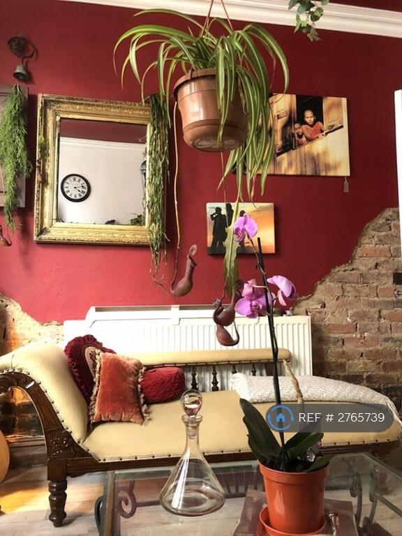 1 bedroom house share for rent