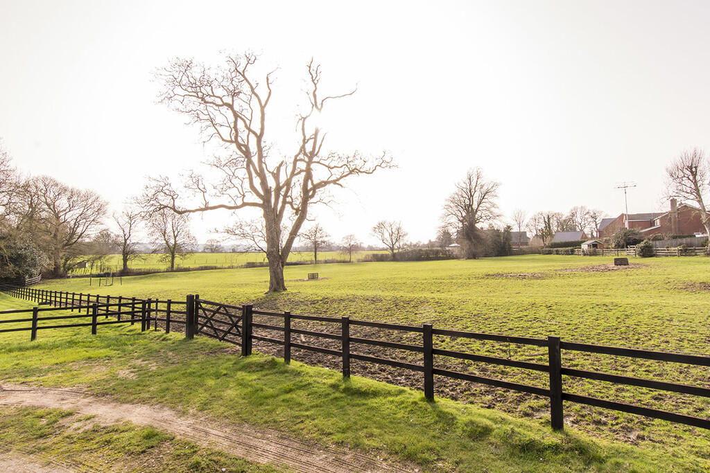 Fields