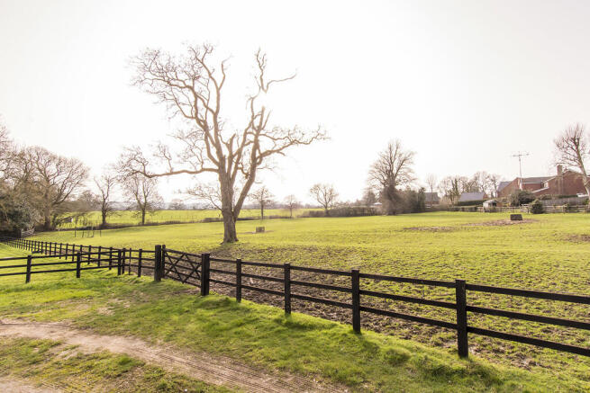Fields