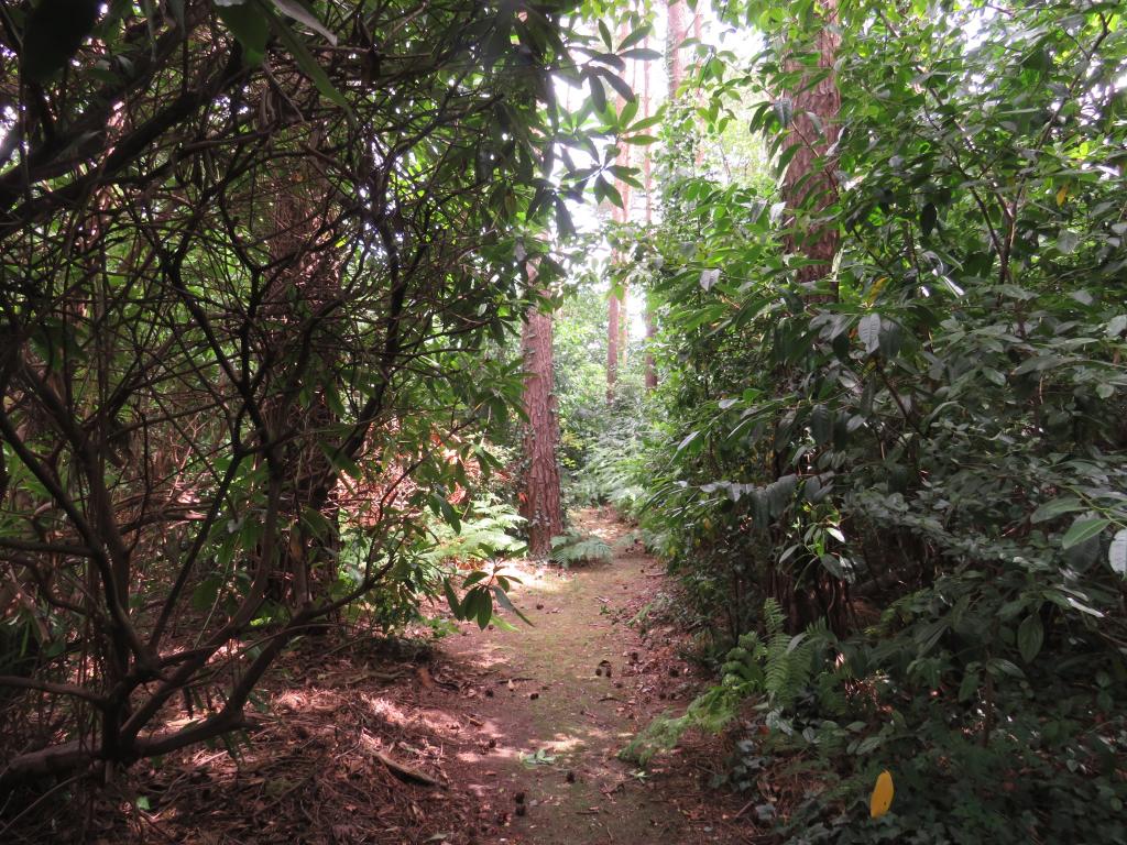 Photo of the property