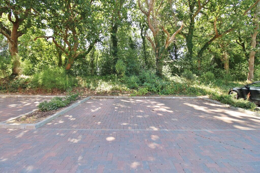 The Florins, Titchfield Common photo 4