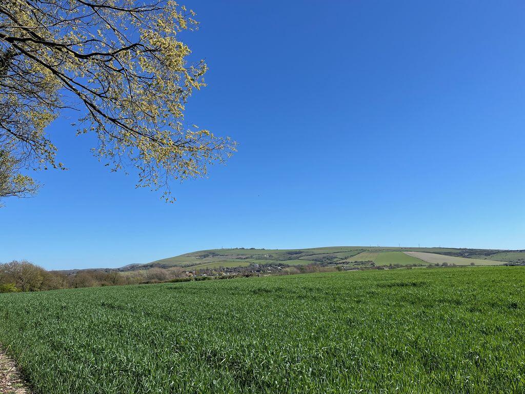 Main image of property: Steyning