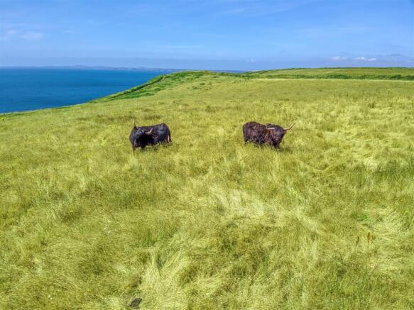 DJI_0092_HDR.jpg