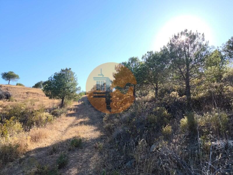 Main image of property: Algarve, Azinhal