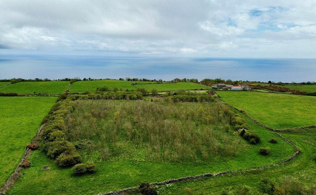 102 acres, Staintondale, Scarborough - View 5