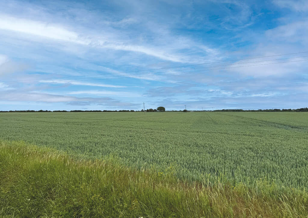 Main image of property: Land At Haven Drove, Willingham, Cambridgeshire, CB24 8QF
