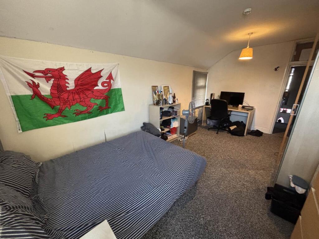 House in Cardiff, Plasnewydd, Roath - More