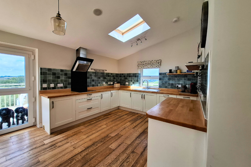 House in Swansea - More