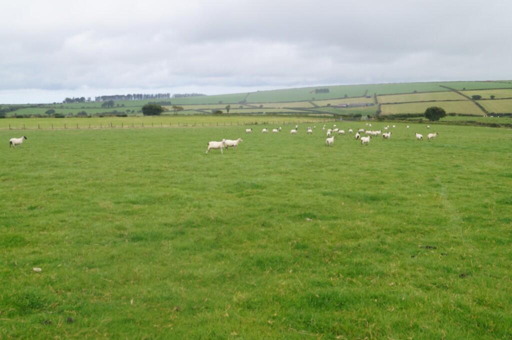 Studio other on Talgarreg, Llandysul. SA44 4EU, £300,000