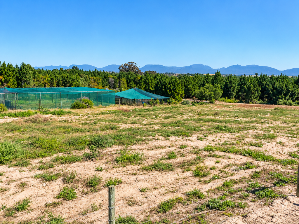 Main image of property: Albertinia, Western Cape