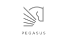 Pegasus Homes Estate Agent Logo
