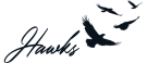 Branch logo