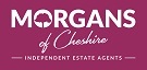 Branch logo