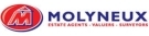 Molyneux, Wrexham Logo