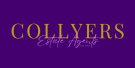 Collyers, Barnstaple Estate Agent Logo