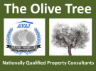 The Olive Tree Pinoso, Alicante Logo