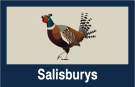 Salisburys, Tavistock Logo