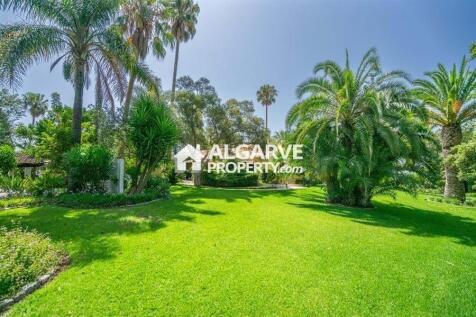 Property Image 64