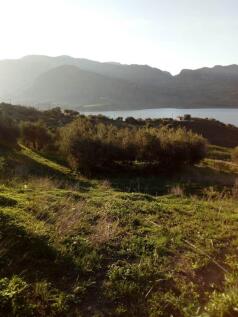 Property Image 101