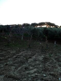 Property Image 54