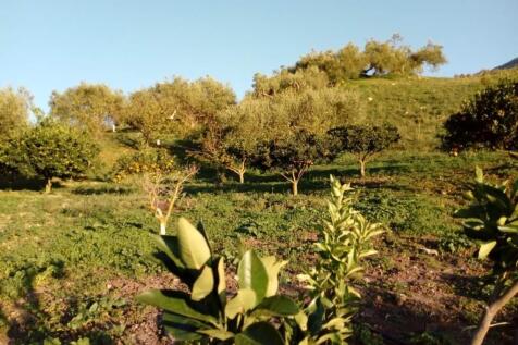 Property Image 64