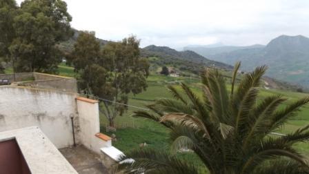 Property Image 54