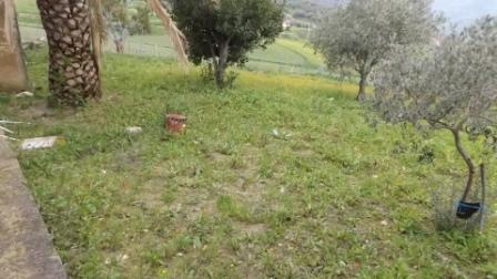 Property Image 66