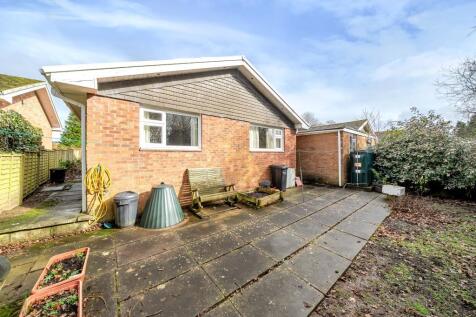 Photos