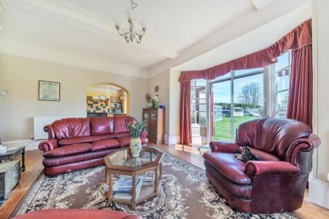 Photos