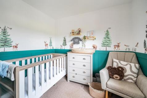 Photos